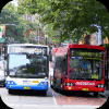 STA Sydney Buses